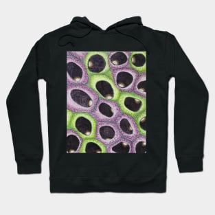 Seeds of Vision Hoodie